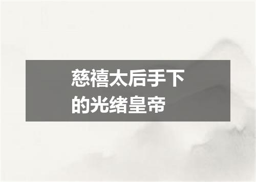 慈禧太后手下的光绪皇帝