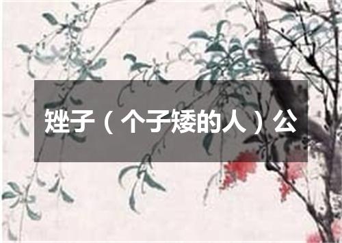矬子（个子矮的人）公