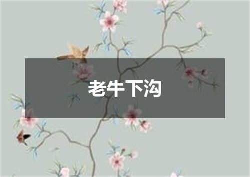 老牛下沟