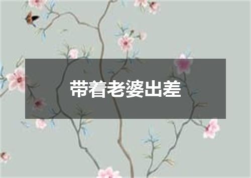 带着老婆出差