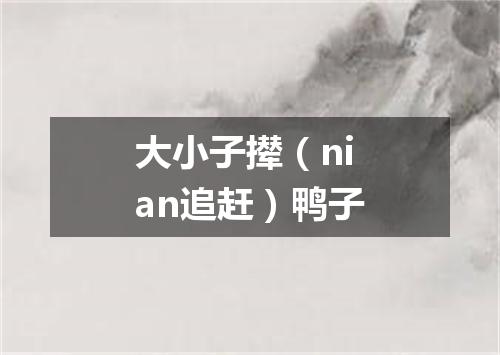 大小子撵（nian追赶）鸭子