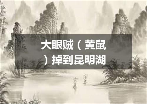 大眼贼（黄鼠）掉到昆明湖