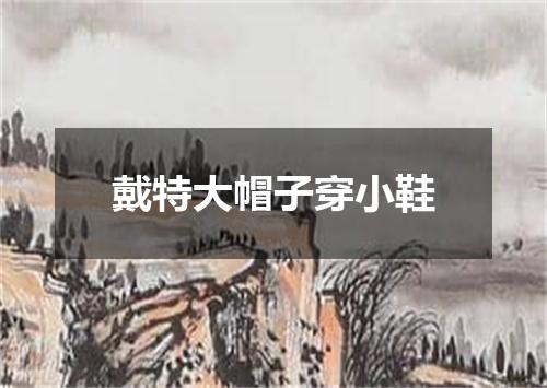 戴特大帽子穿小鞋