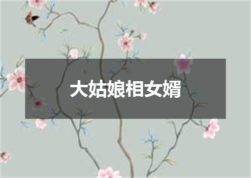 大姑娘相女婿