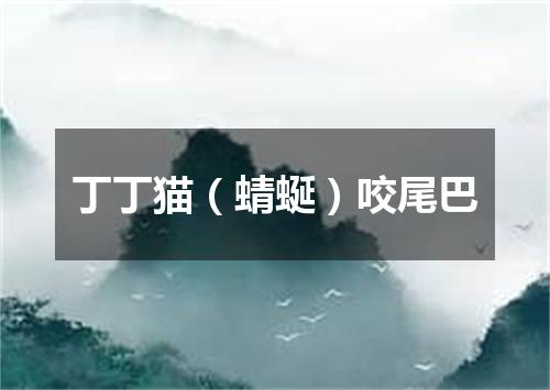 丁丁猫（蜻蜒）咬尾巴