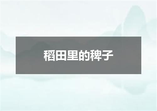 稻田里的稗子