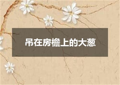 吊在房檐上的大葱