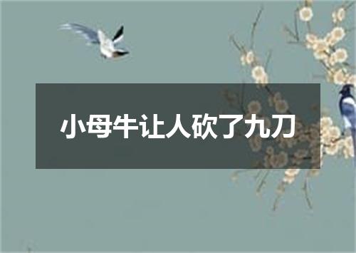 小母牛让人砍了九刀