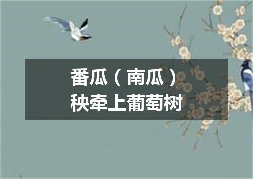 番瓜（南瓜）秧牵上葡萄树