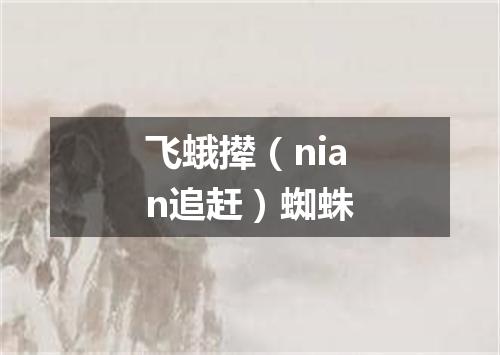 飞蛾撵（nian追赶）蜘蛛