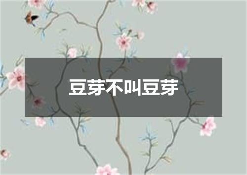 豆芽不叫豆芽