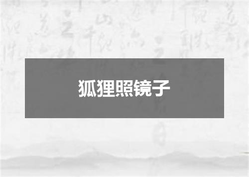 狐狸照镜子