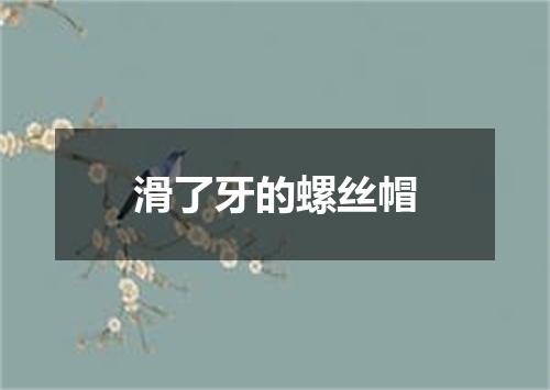 滑了牙的螺丝帽