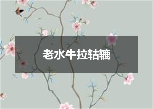 老水牛拉轱辘