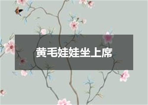 黄毛娃娃坐上席