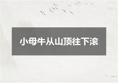 小母牛从山顶往下滚