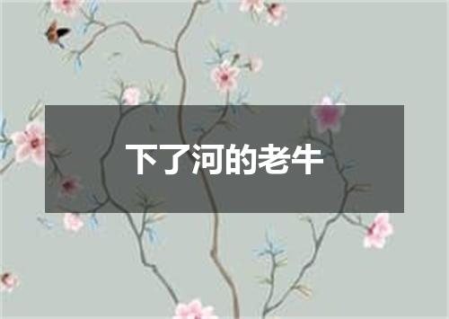 下了河的老牛