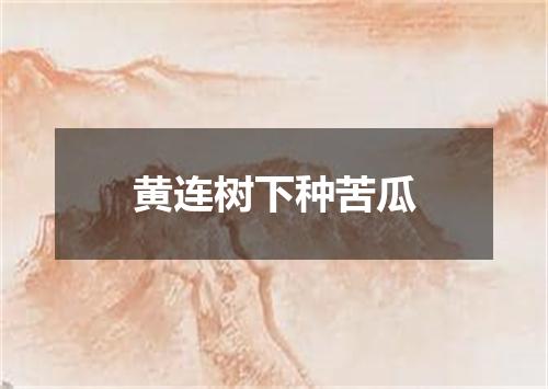黄连树下种苦瓜