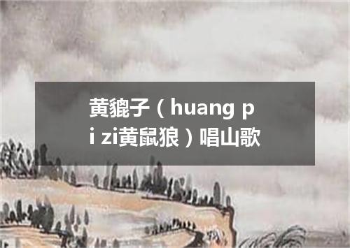 黄貔子（huang pi zi黄鼠狼）唱山歌