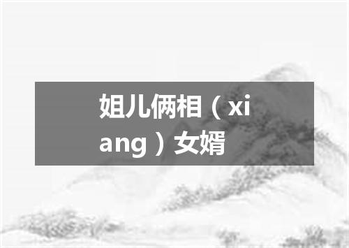 姐儿俩相（xiang）女婿