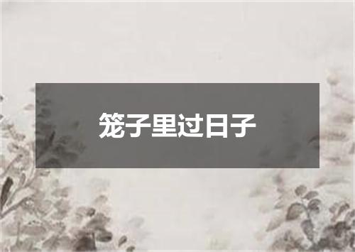 笼子里过日子
