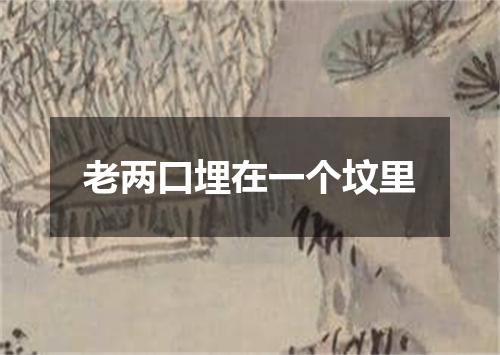 老两口埋在一个坟里