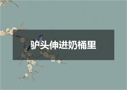 驴头伸进奶桶里