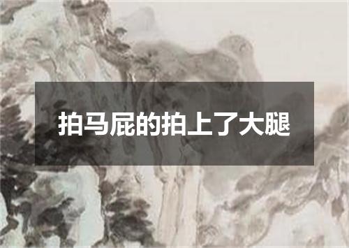 拍马屁的拍上了大腿