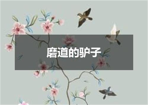 磨道的驴子