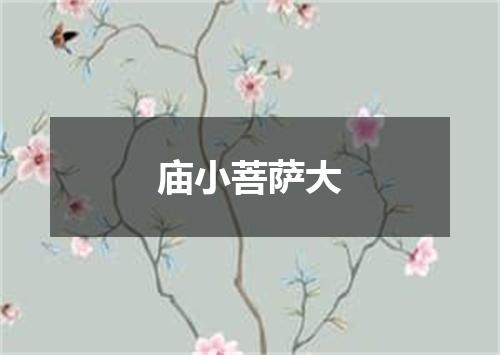 庙小菩萨大