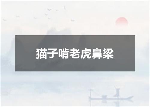 猫子啃老虎鼻梁