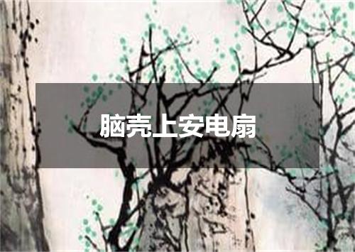 脑壳上安电扇