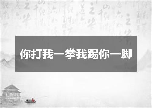 你打我一拳我踢你一脚