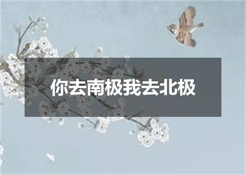 你去南极我去北极