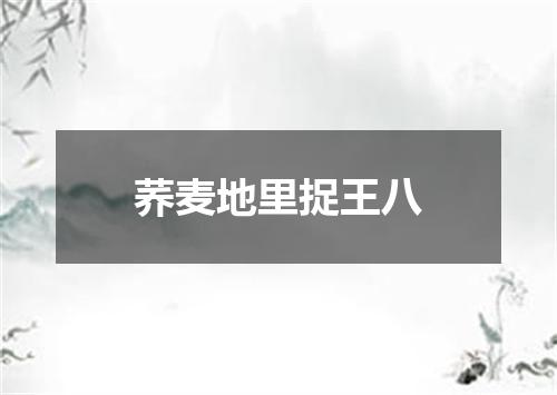 荞麦地里捉王八