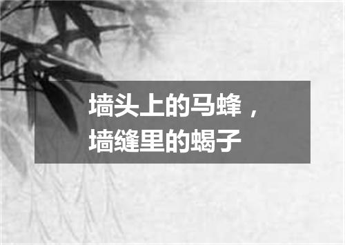 墙头上的马蜂，墙缝里的蝎子