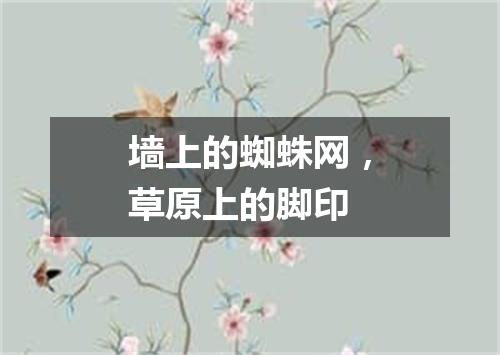 墙上的蜘蛛网，草原上的脚印