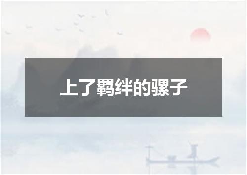 上了羁绊的骡子