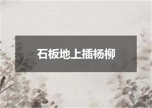 石板地上插杨柳