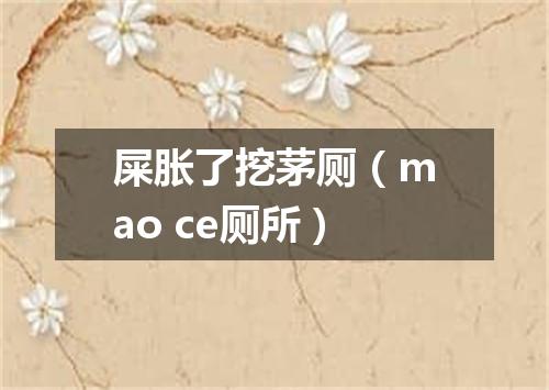 屎胀了挖茅厕（mao ce厕所）