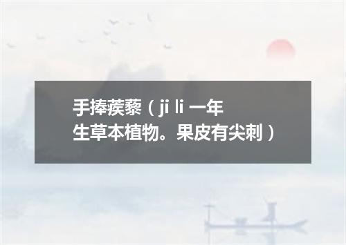 手捧蒺藜（ji li 一年生草本植物。果皮有尖刺）