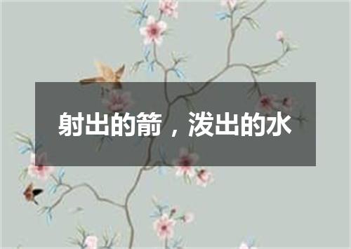 射出的箭，泼出的水