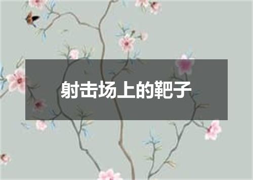 射击场上的靶子