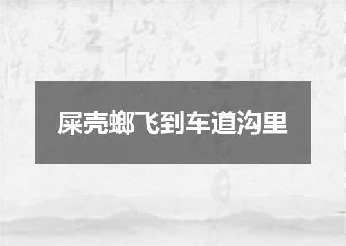 屎壳螂飞到车道沟里