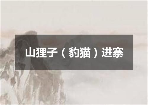 山狸子（豹猫）进寨