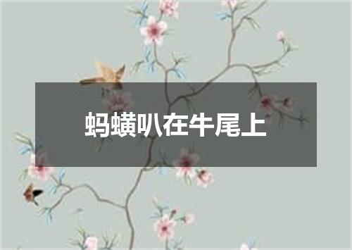 蚂蟥叭在牛尾上