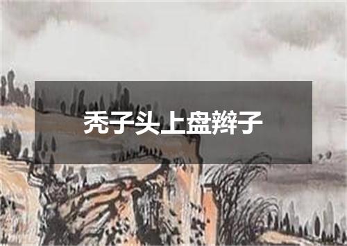 秃子头上盘辫子