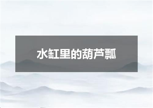 水缸里的葫芦瓢