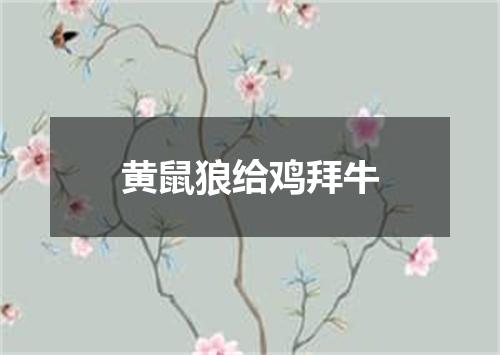 黄鼠狼给鸡拜牛