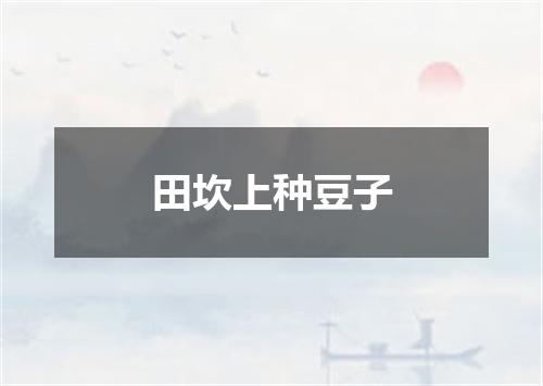 田坎上种豆子
